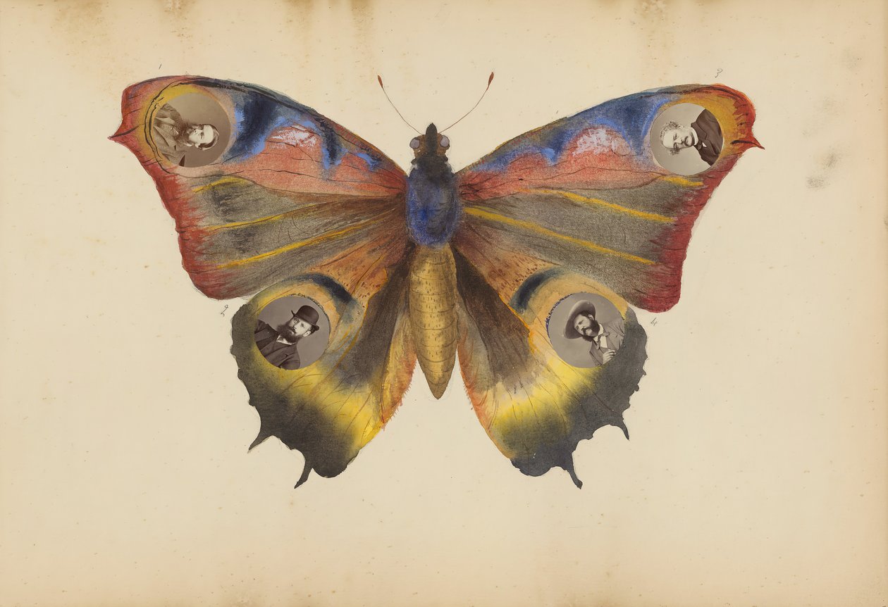 The Madame B Album, 1870s by Marie-Blanche-Hennelle Fournier