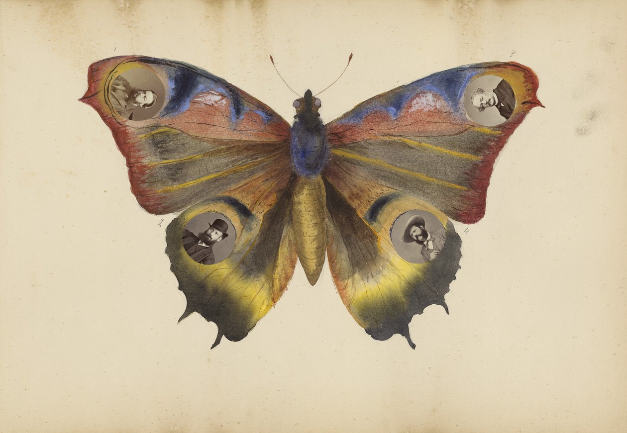 The Madame B Album by Marie Blanche Hennelle Fournier