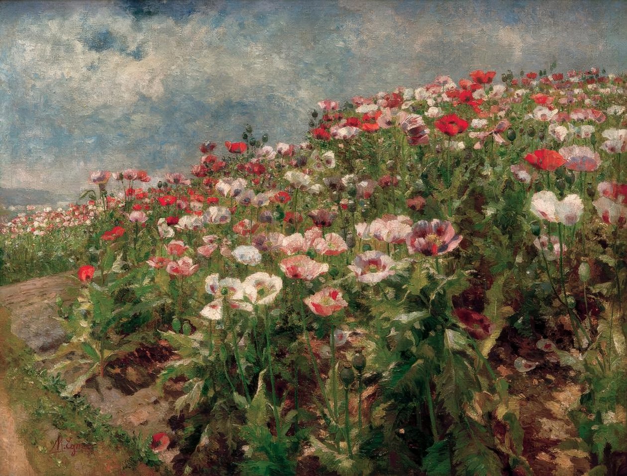 Blooming Poppies, Motif from St. Georgen near Melk by Marie Egner