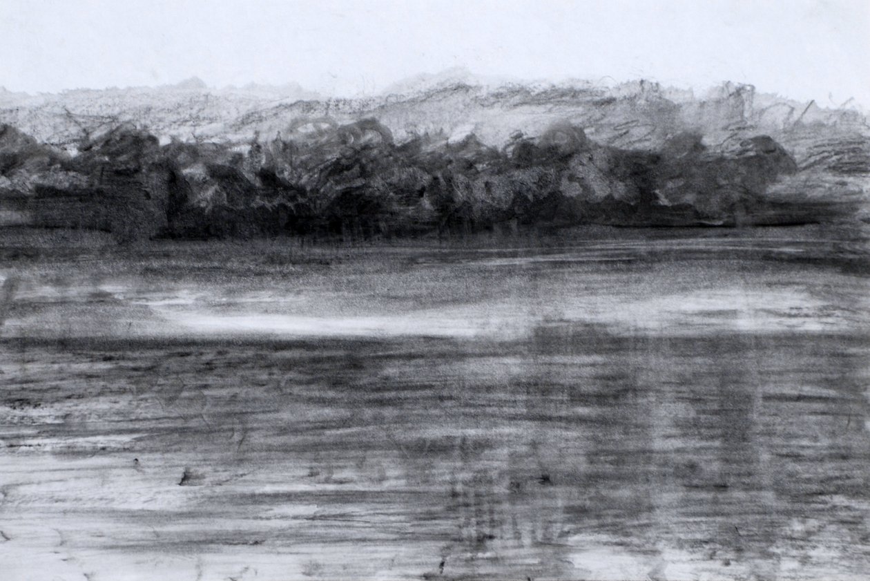The Lake by Marina Falco