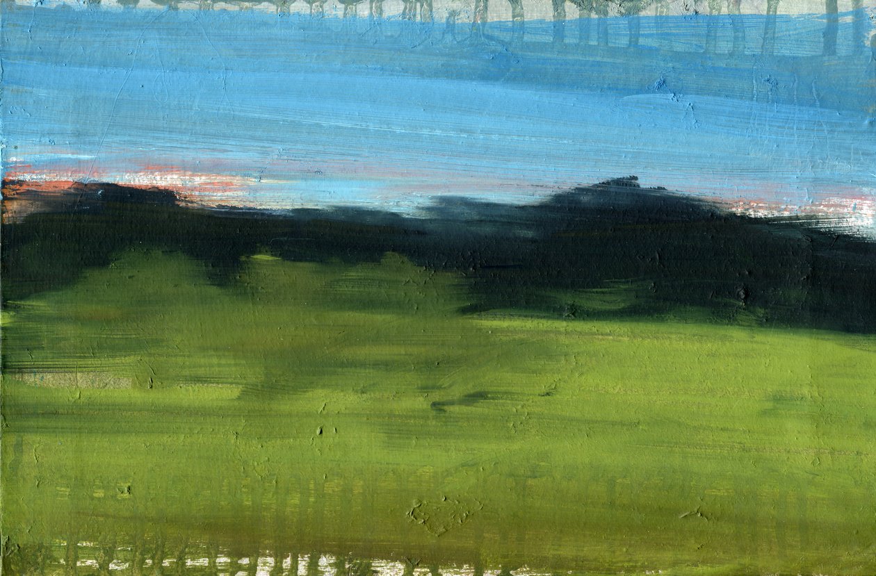 Unseen Landscape by Marina Falco