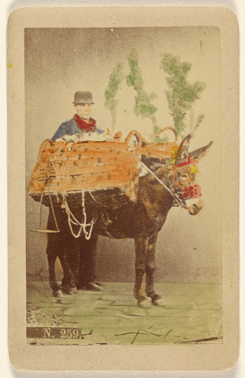 Unidentified Man with Mule Carrying Baskets of Food by Marittima