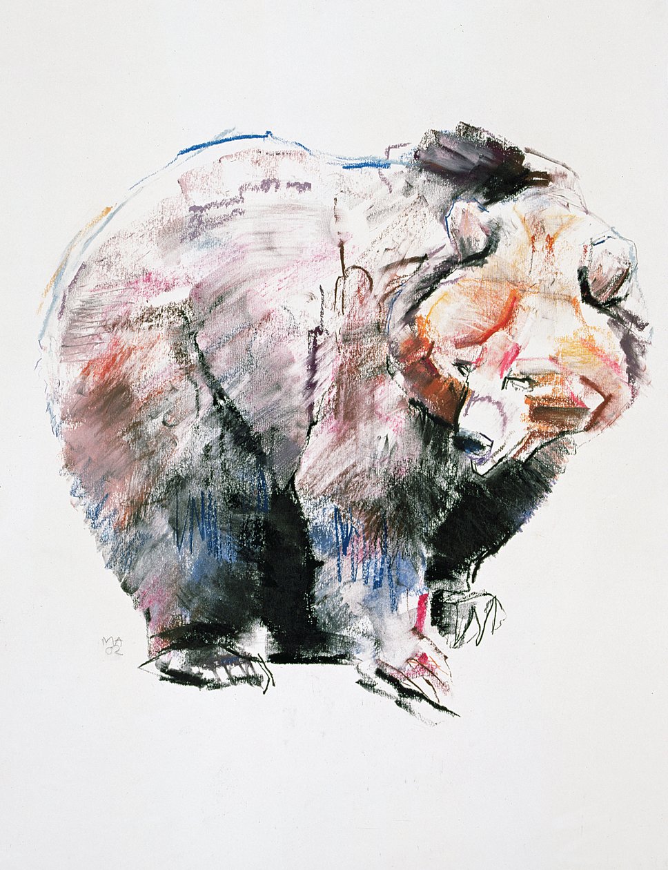 Bear by Mark Adlington