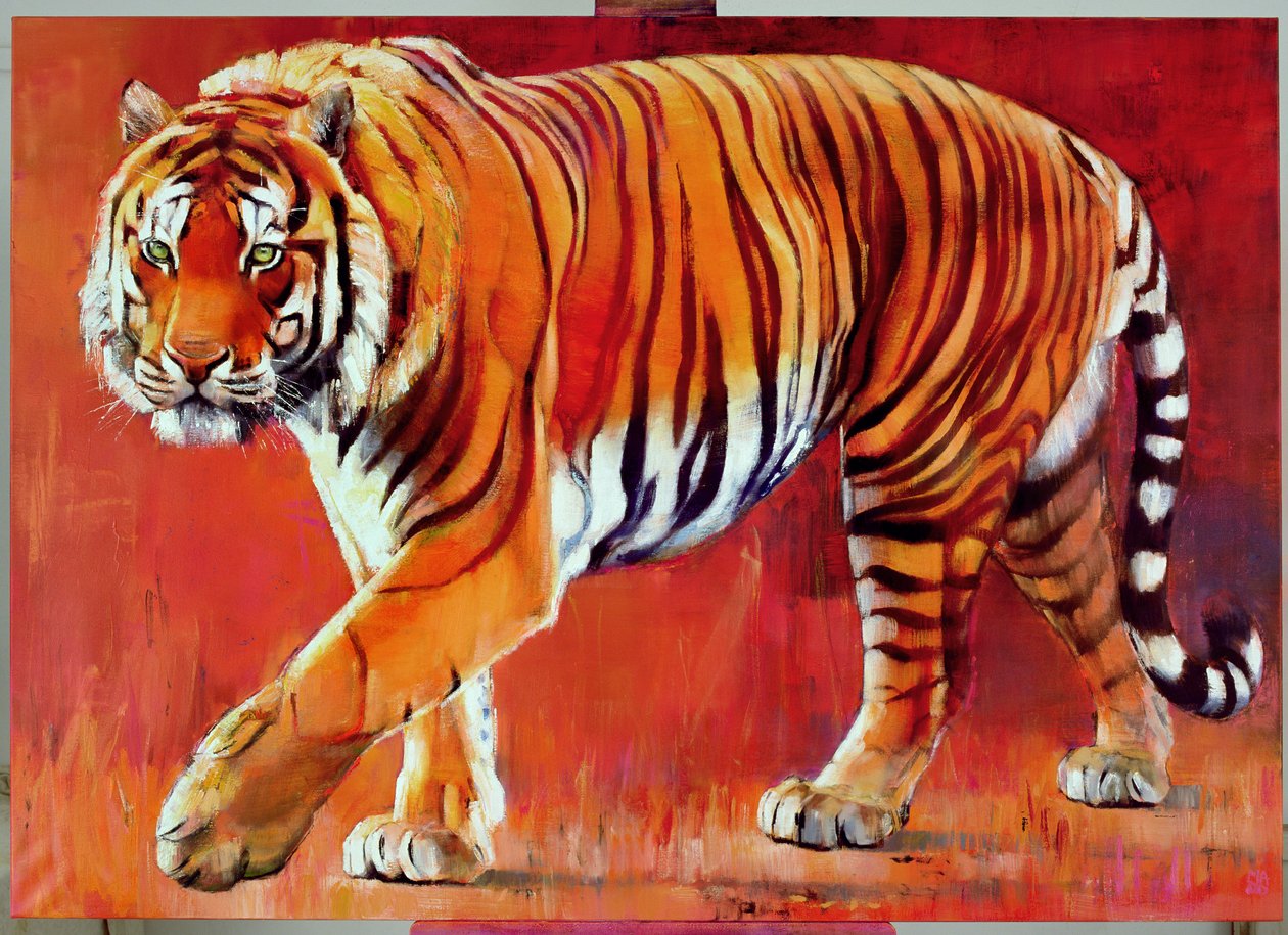 Bengal Tiger by Mark Adlington