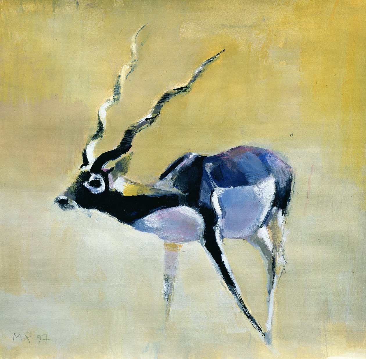 Black Buck, Velavadar, 1997 by Mark Adlington