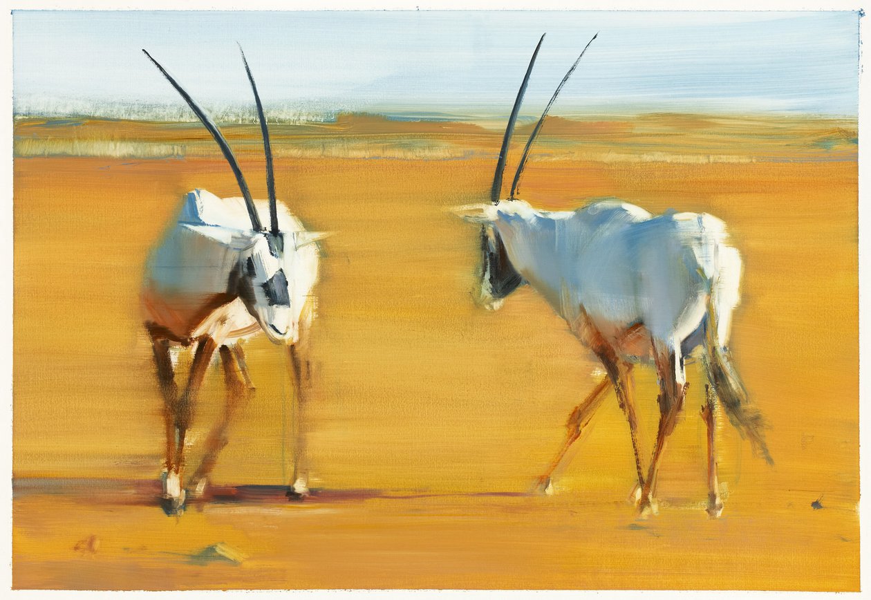 Circling Arabian Oryx, 2010 by Mark Adlington