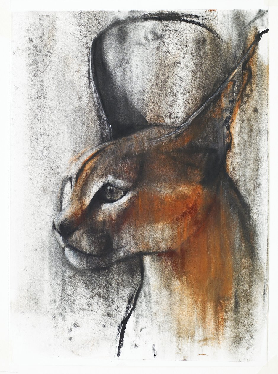 Egyptian (Arabian Caracal), 2009 by Mark Adlington