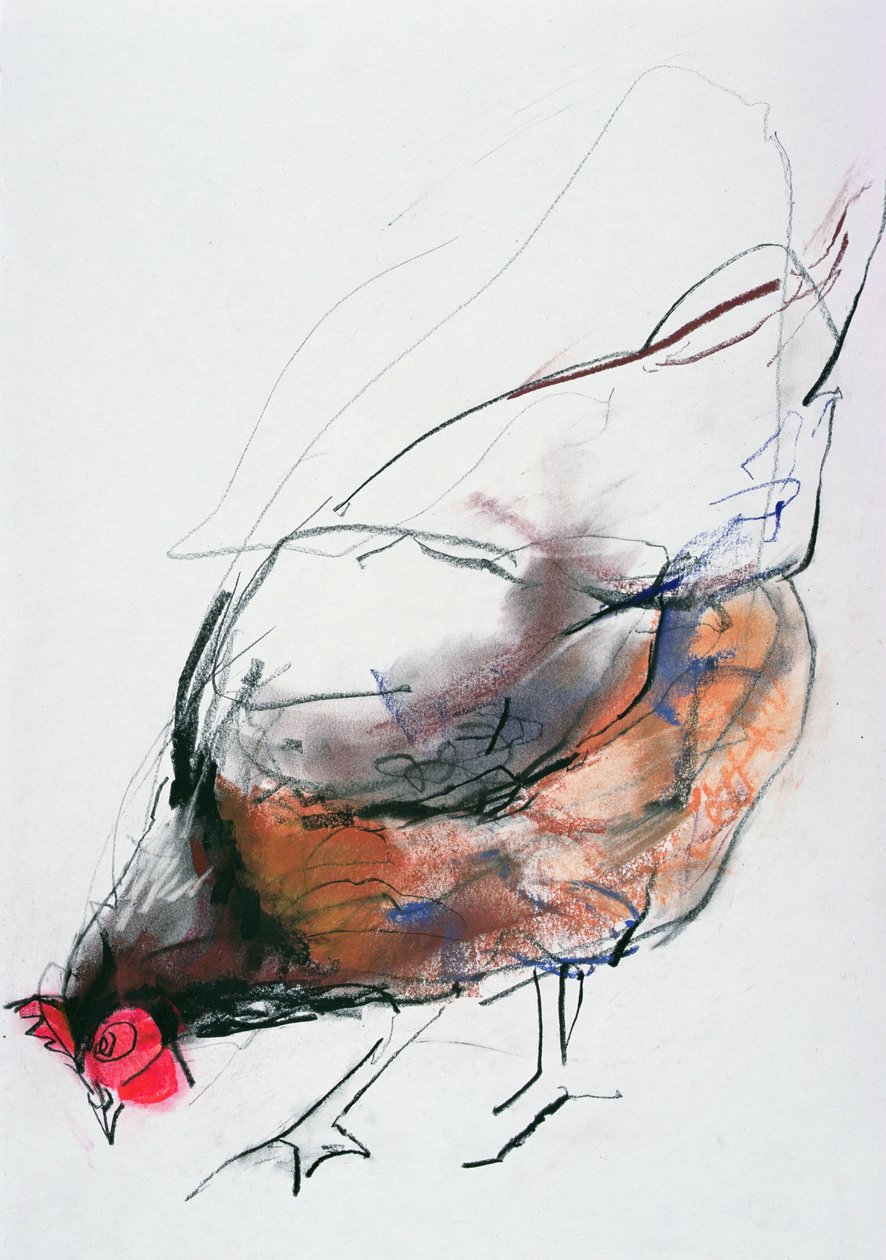 Feeding Hen, Trasierra by Mark Adlington