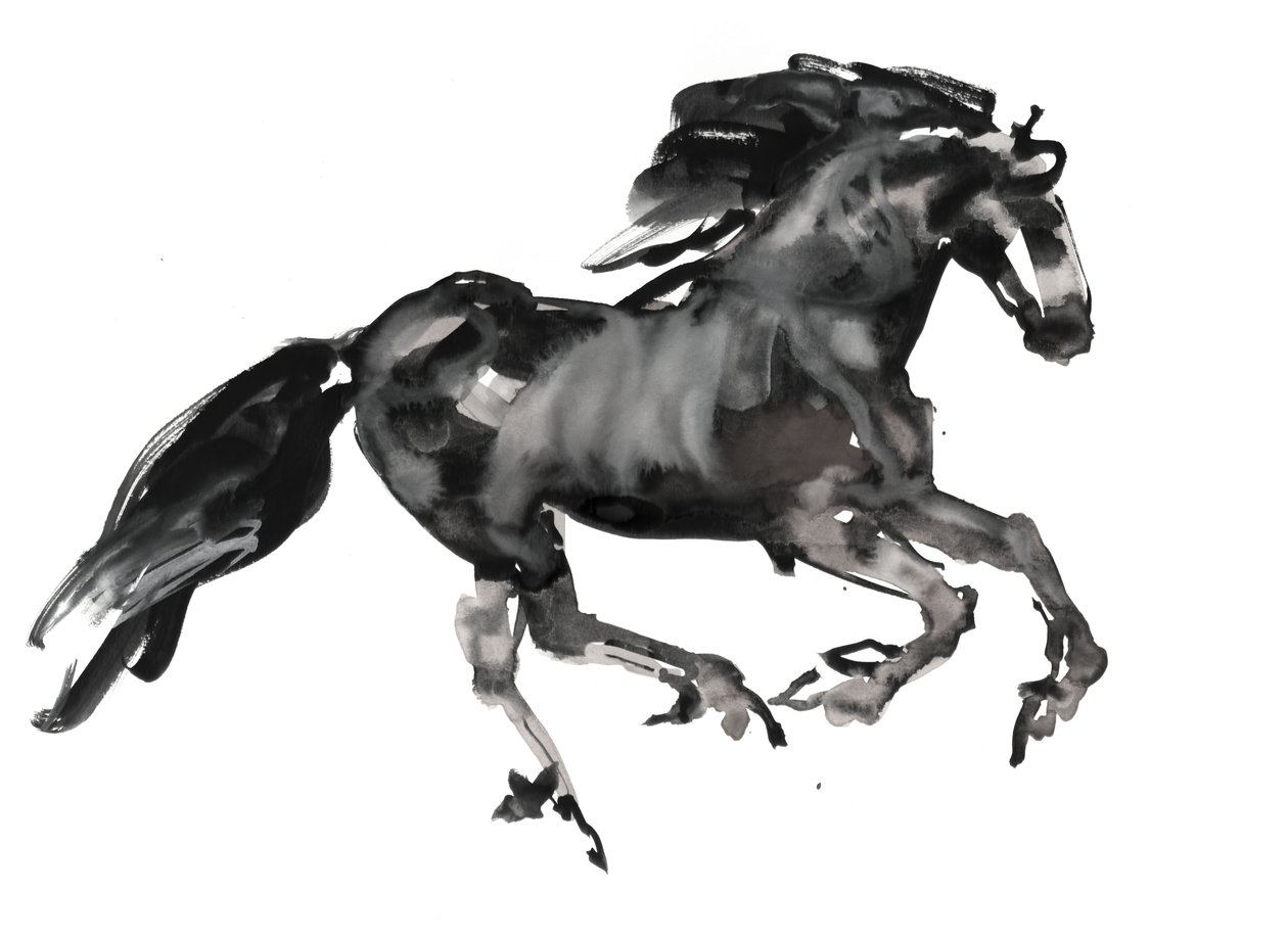 Gallop, 2015 by Mark Adlington