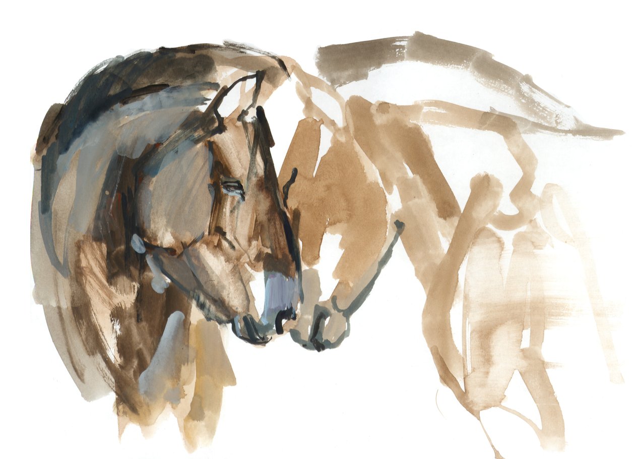 Nose to Nose (Przewalski), 2013 by Mark Adlington