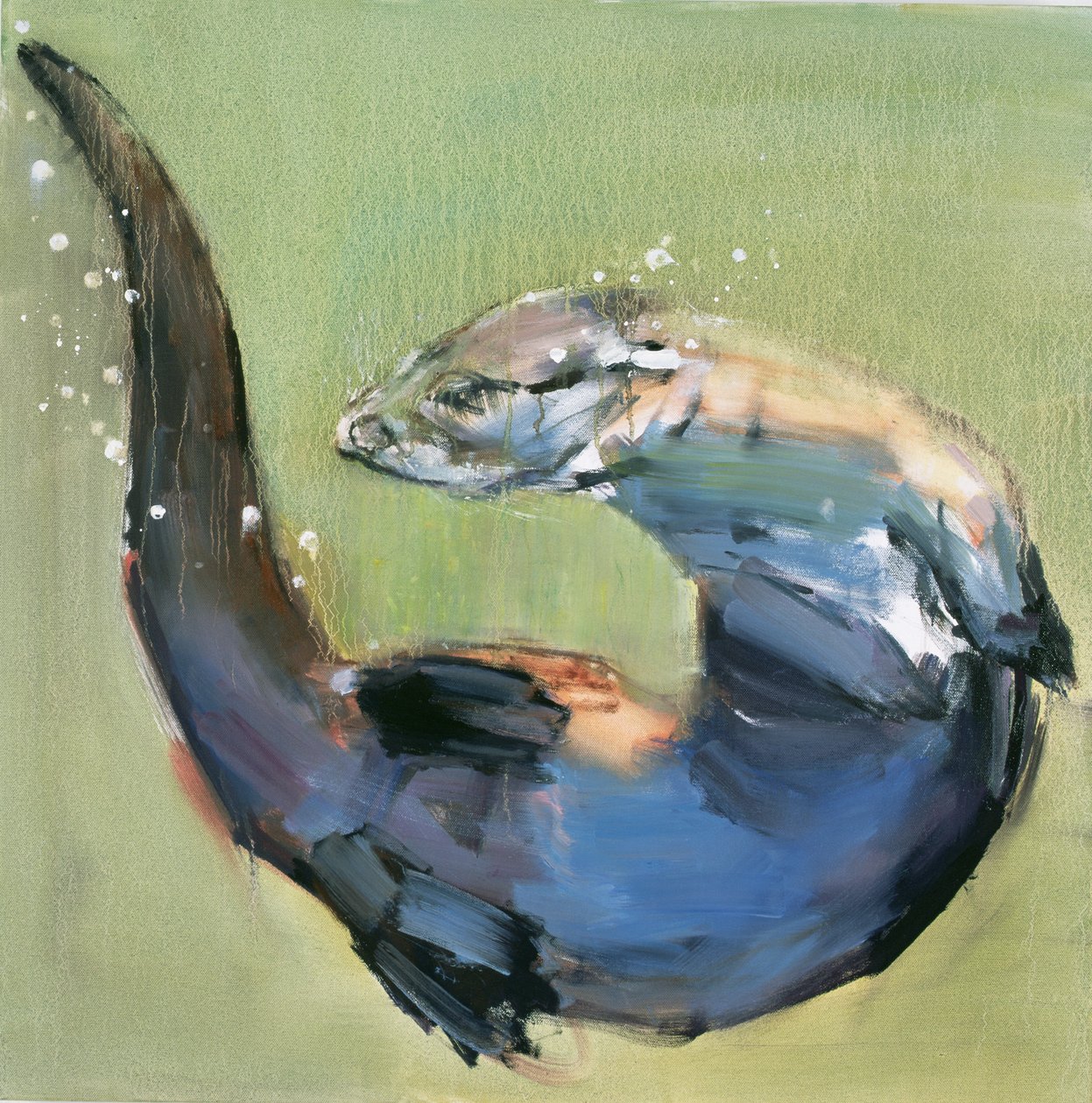Otter, 2003 by Mark Adlington