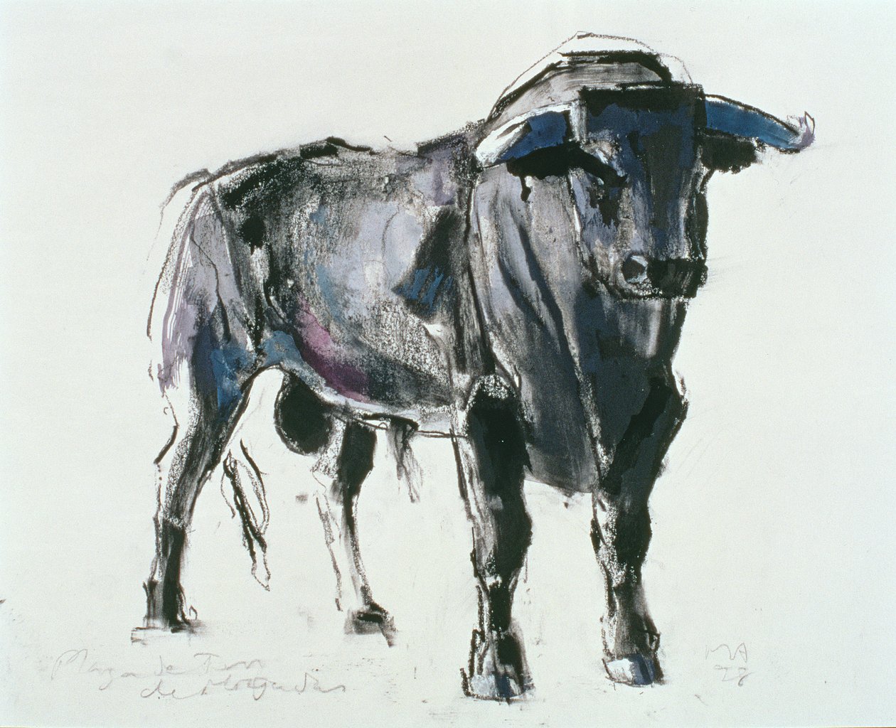 Plaza de Toros de Miajadas, 1998 by Mark Adlington