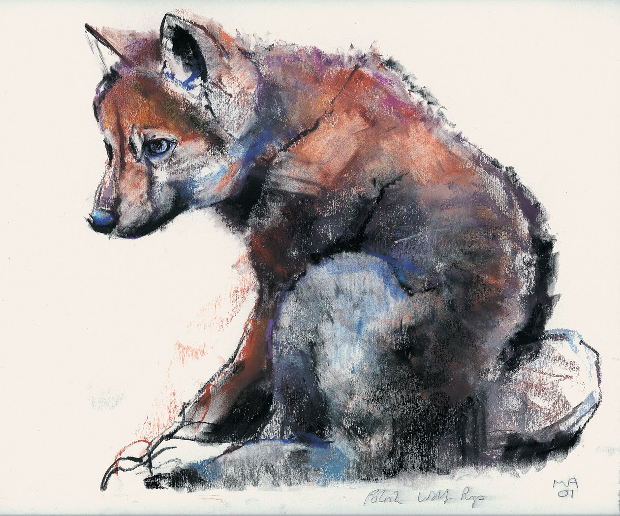 Polish Wolf Pup, 2001 by Mark Adlington