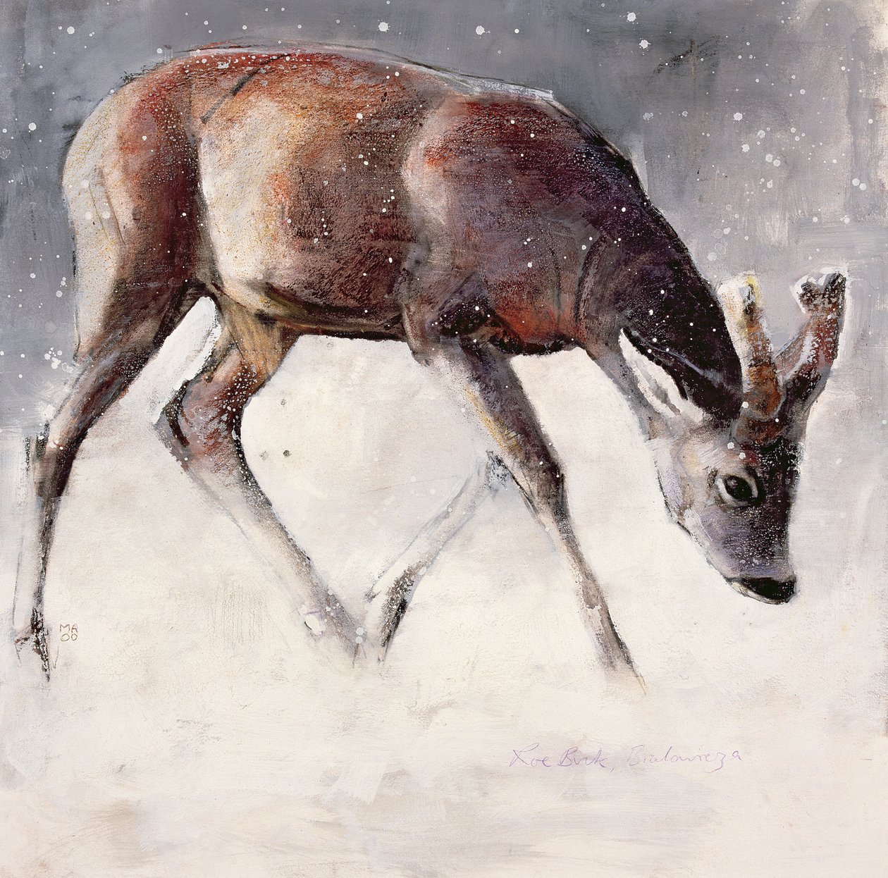 Roe Buck, Winter, 2000 by Mark Adlington