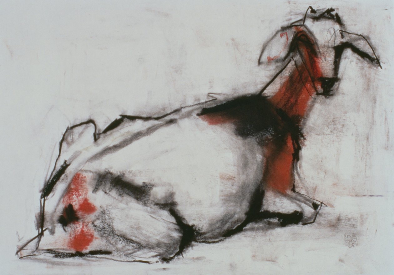 Seated Goat by Mark Adlington