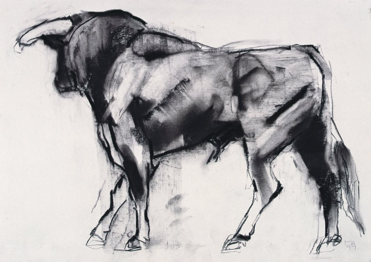 Toro Azul, study by Mark Adlington