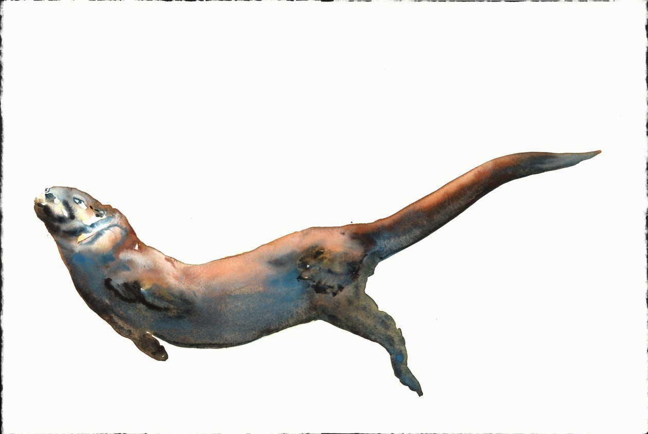 Unknown Title by Mark Adlington