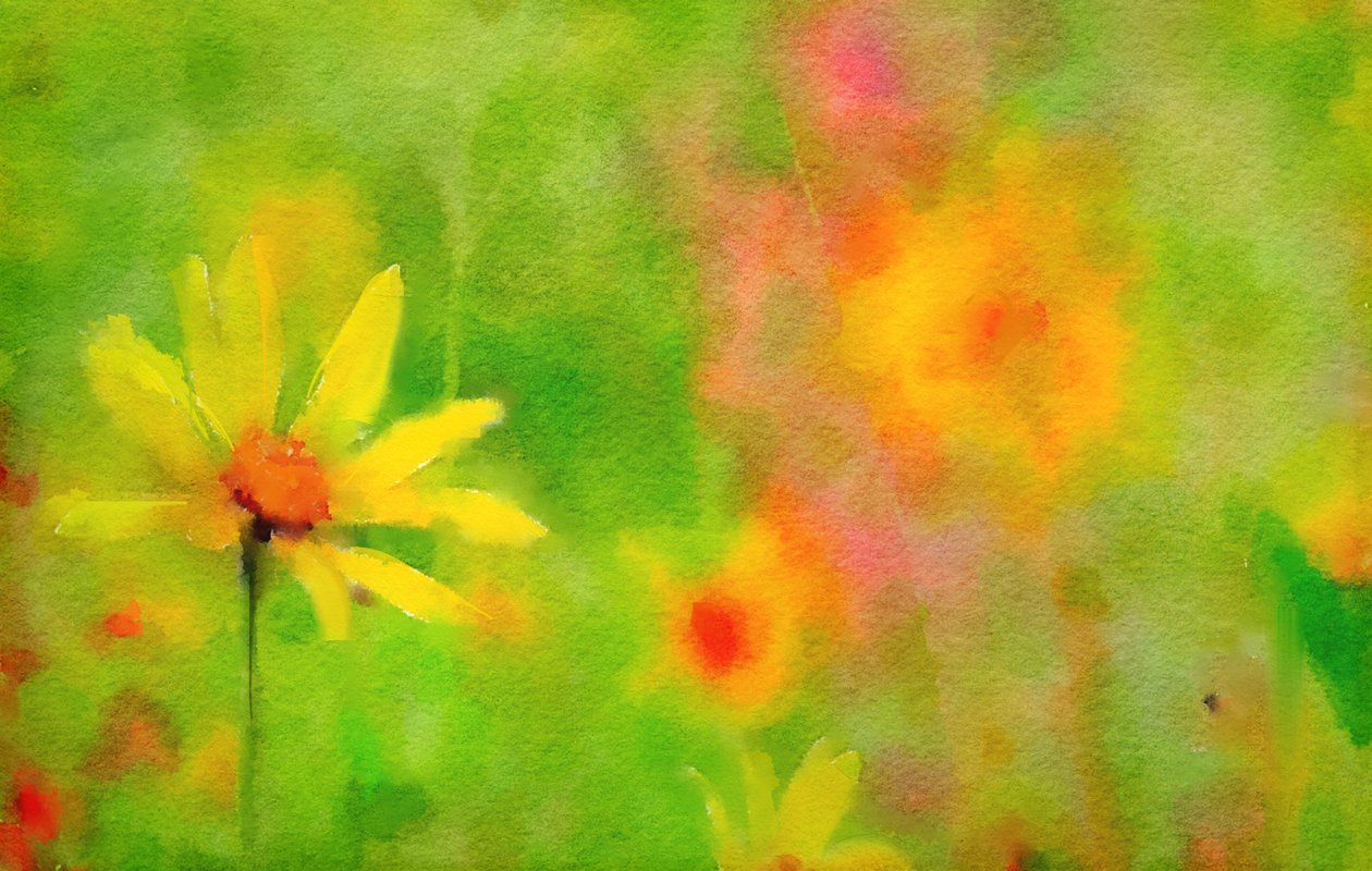 After the Rain, a Summer Day by Mark Gordon
