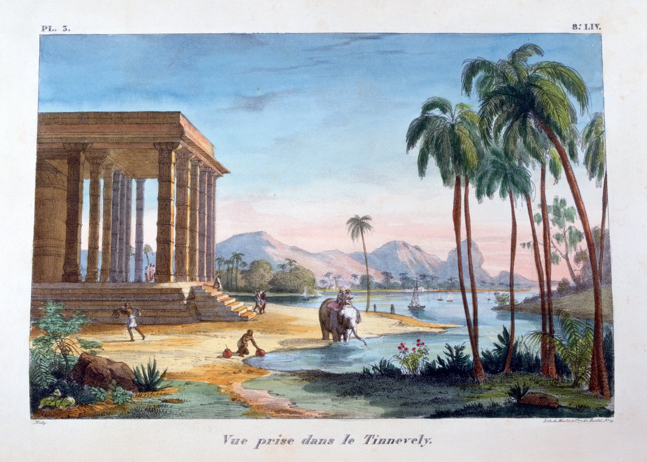 A View of Tinnevelly, India by Marlet et Cie