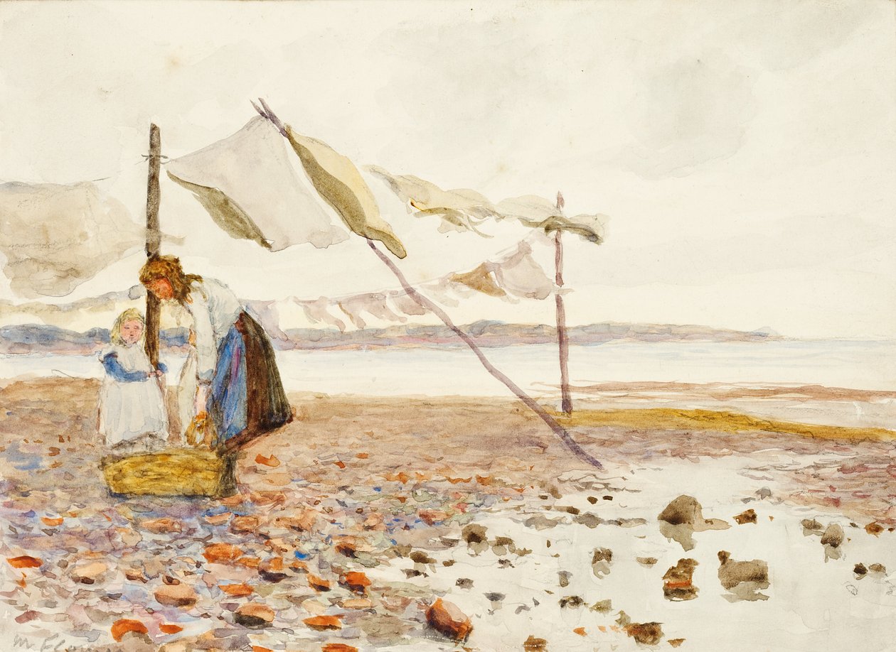 The Shore by Marmaduke C. William Flower