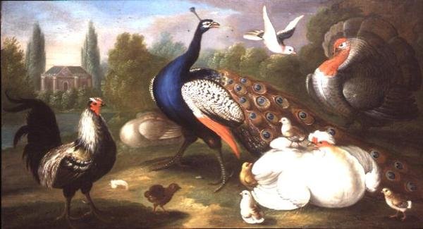 A Peacock, Turkey, Hen, Cockerel and Dove by a River by Marmaduke Craddock