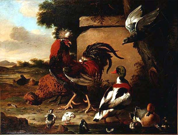 Cockerel with Ducks, Ducklings and Pigeon by Marmaduke Craddock