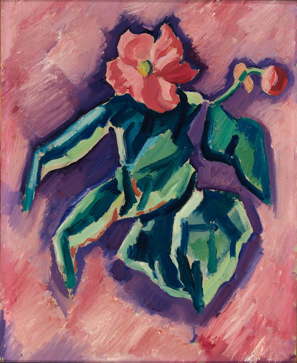 Pink Begonias by Marsden Hartley