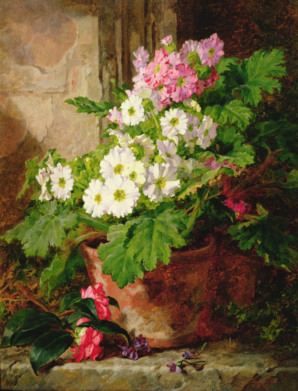 Still Life of Primulas by Martha Darley Mutrie