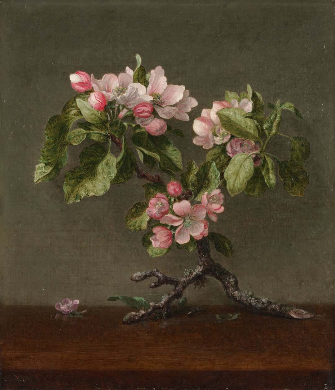 Apple Blossoms by Martin Johnson Heade