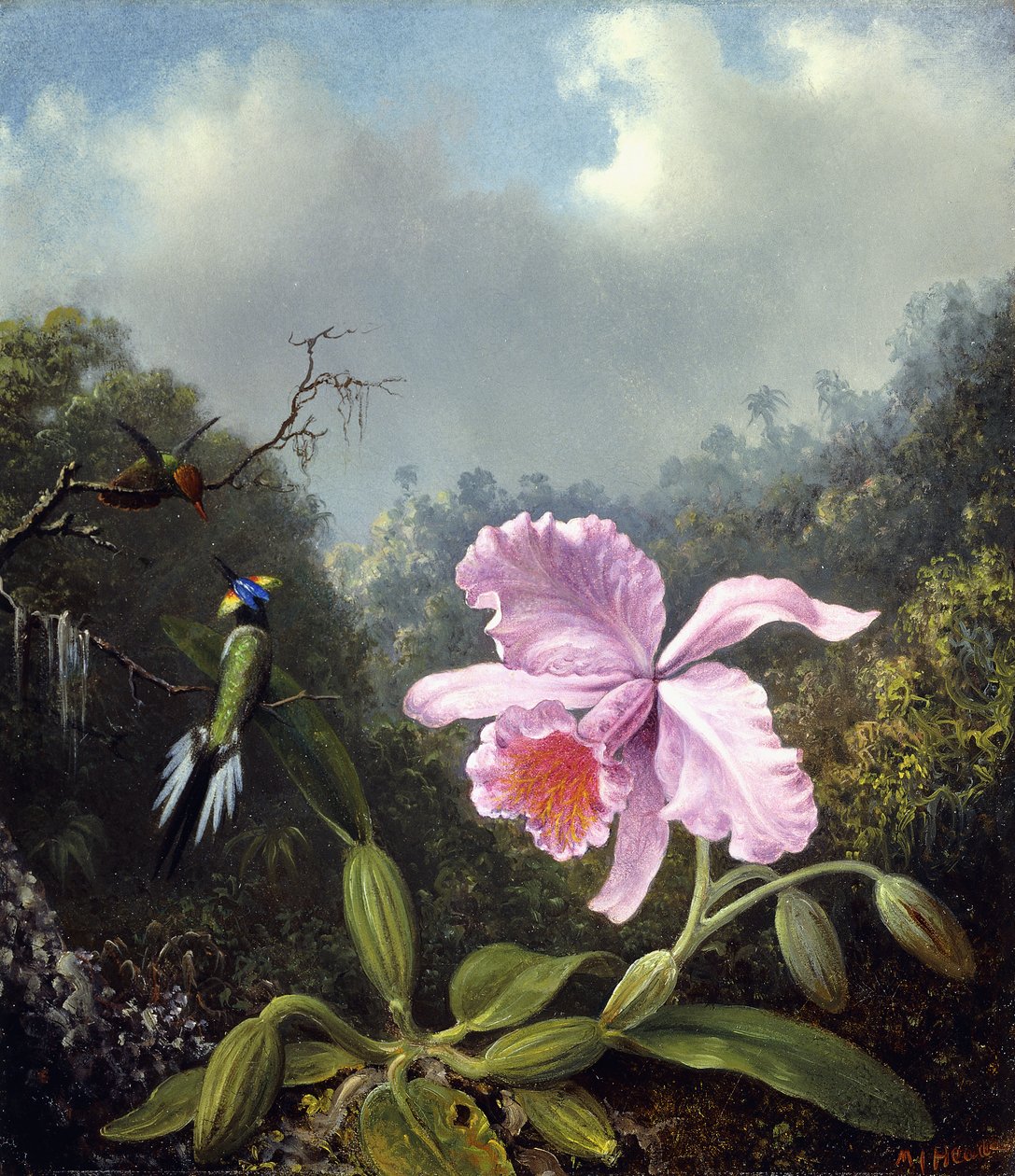 Still Life with Orchid and Pair of Hummingbirds by Martin Johnson Heade