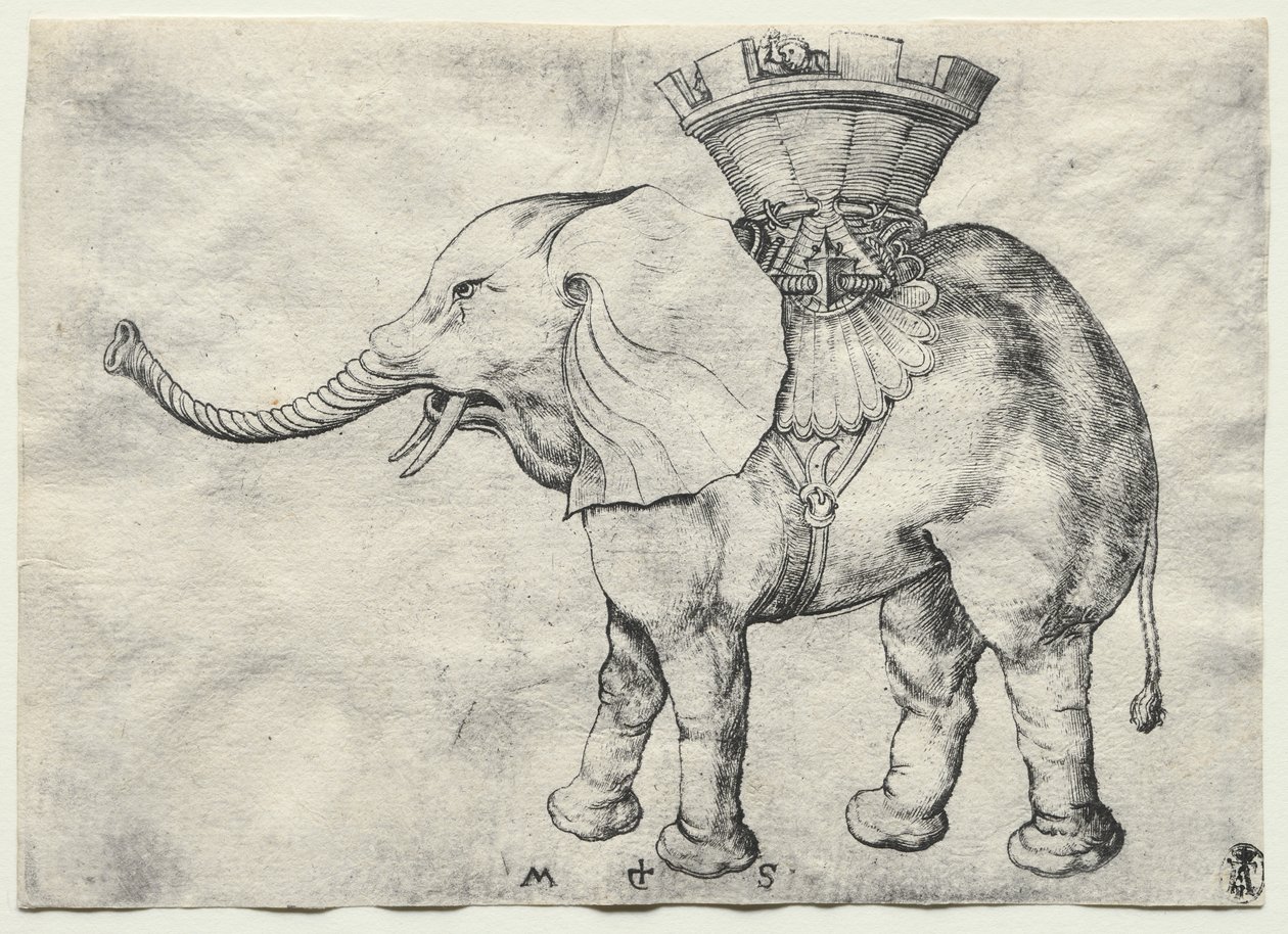 An Elephant with Howdah by Martin Schongauer