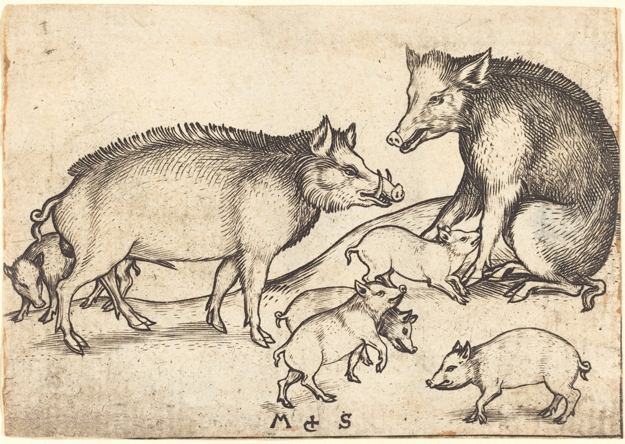 Family of Pigs by Martin Schongauer