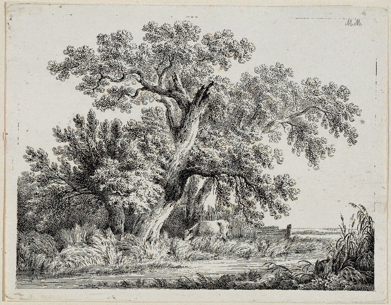 Landscape by Martin von Molitor