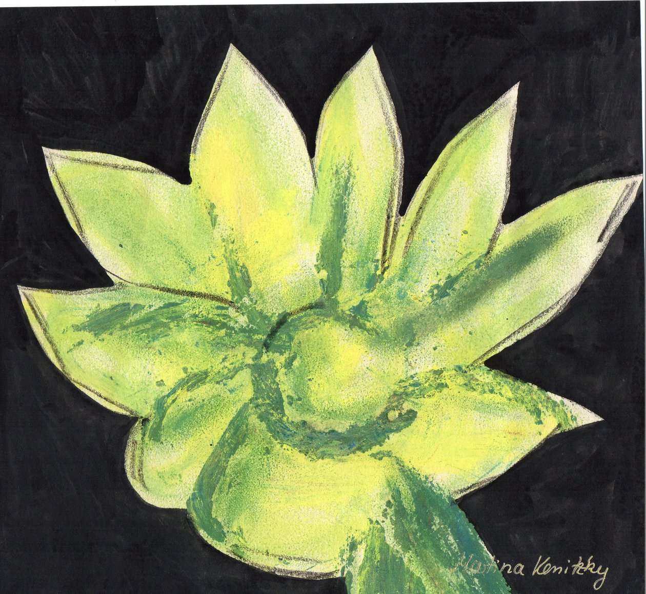 Cactus by Martina Konitzky