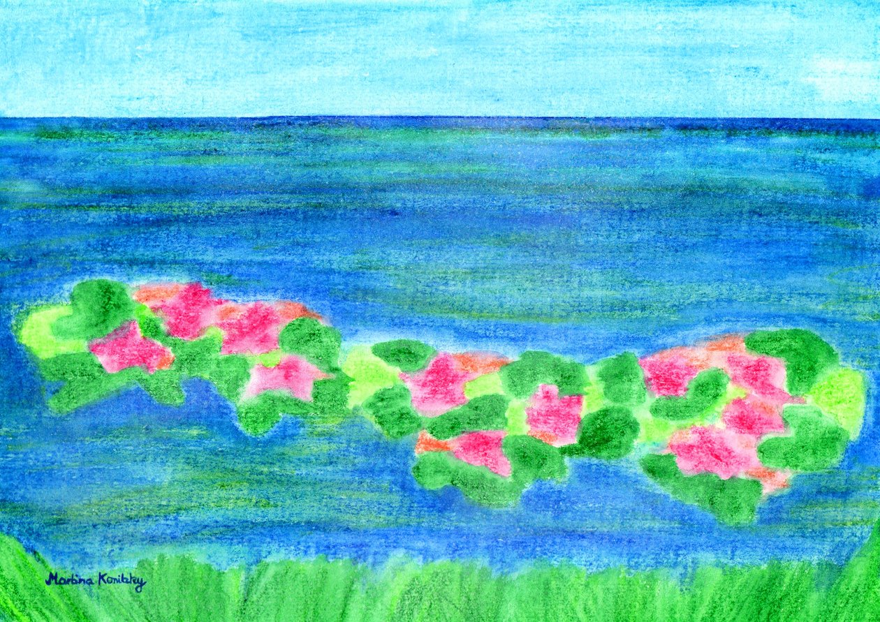 Water Lilies by Martina Konitzky