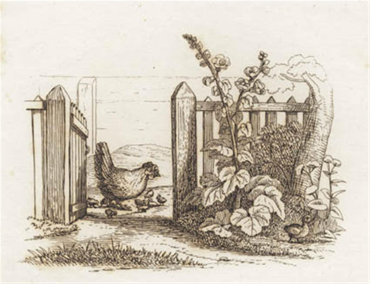 Illustration for 