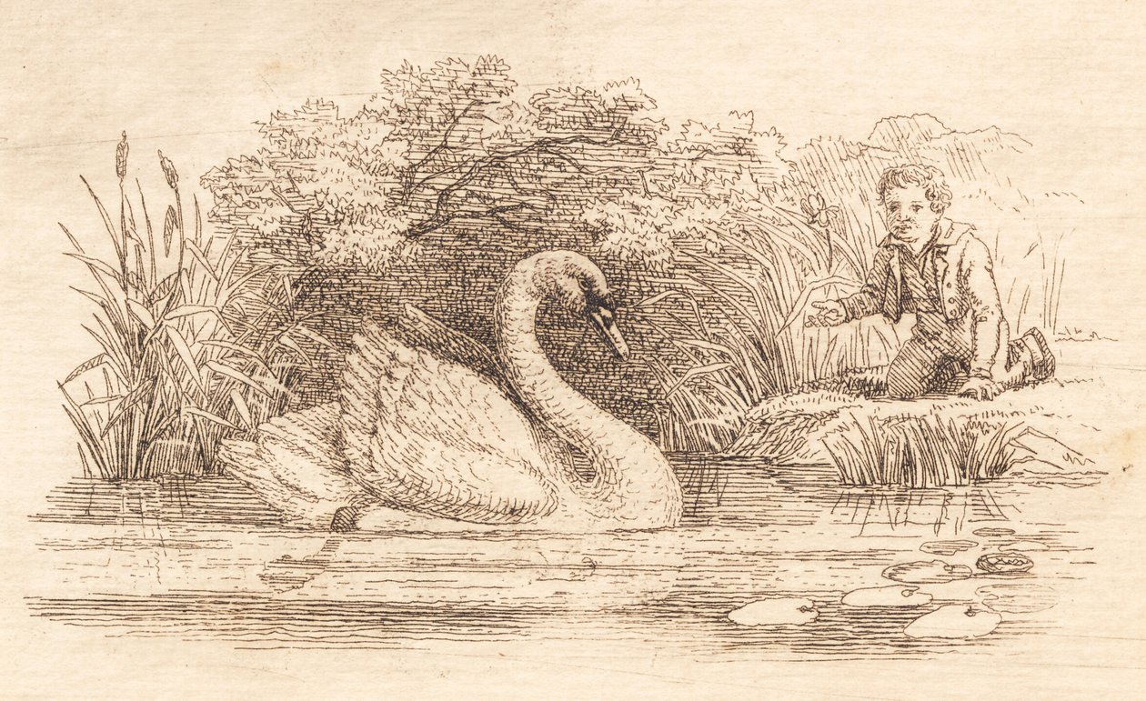 Illustration for "Fifty Fables for Children" by Hey by Martinus Rørbye
