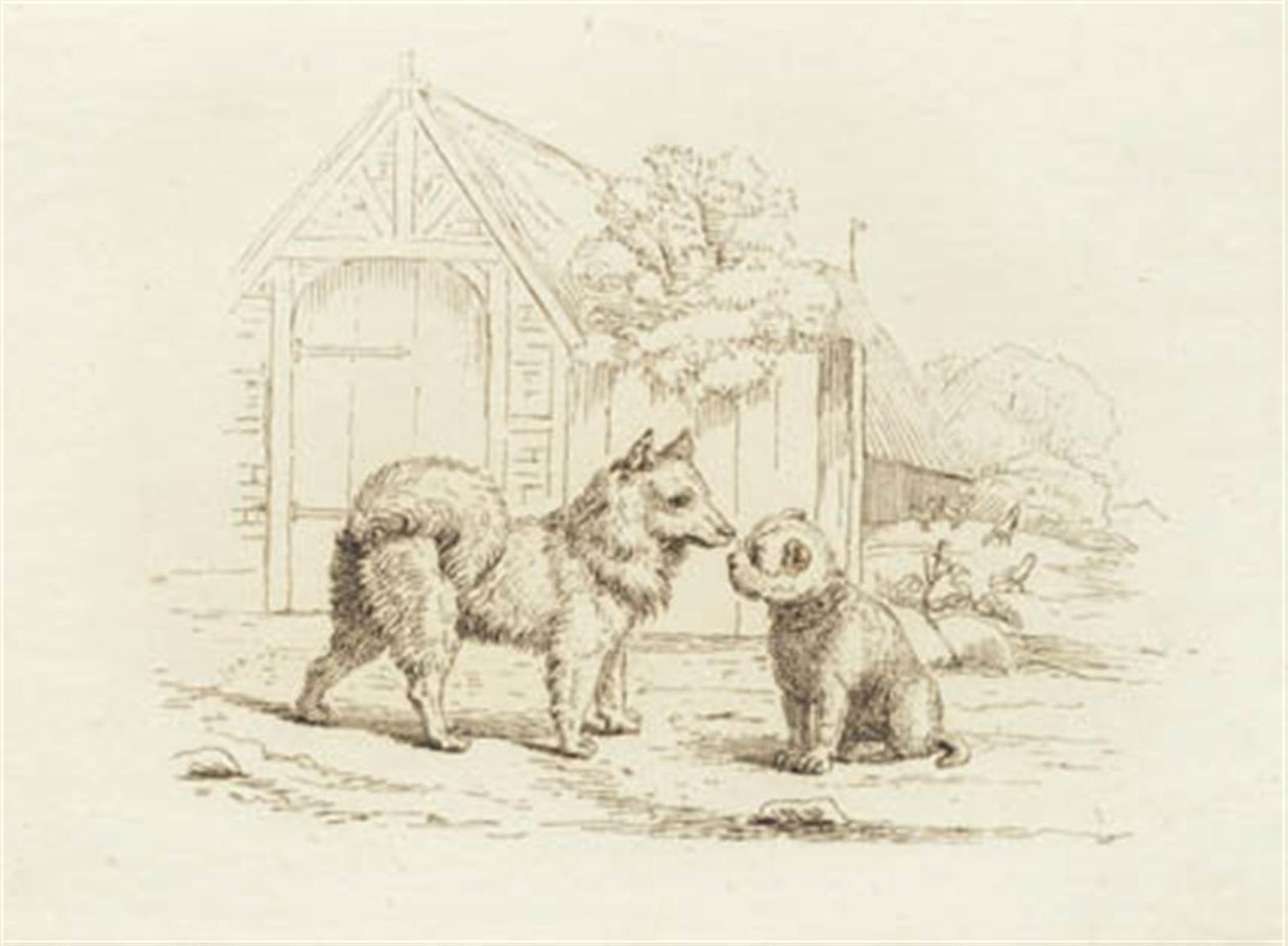 Illustration for 