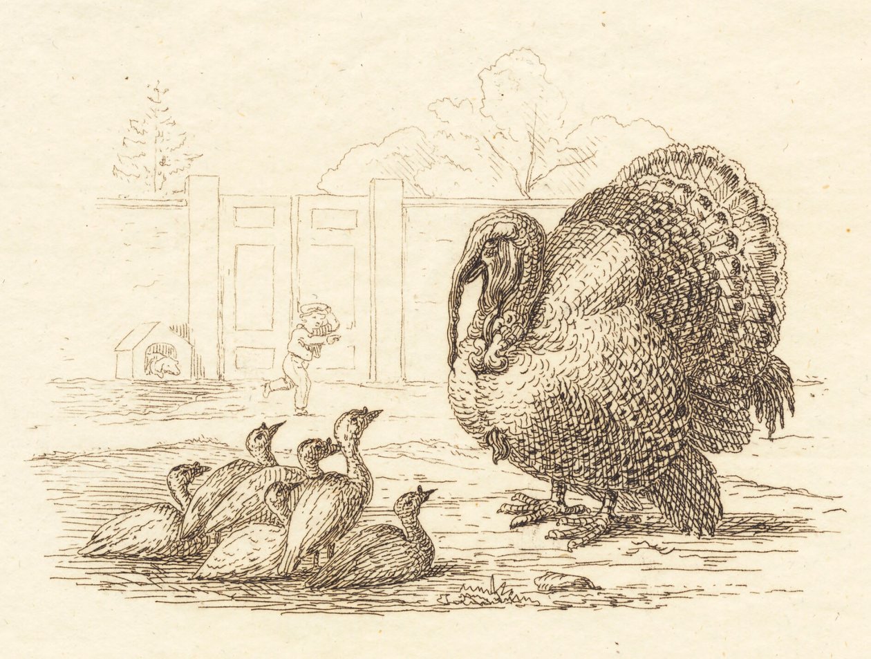 Illustration for 