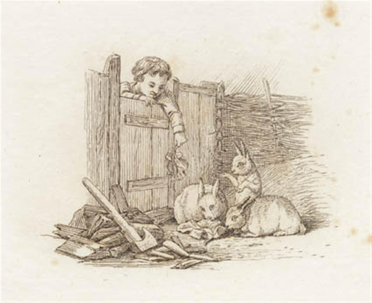 Illustration for 