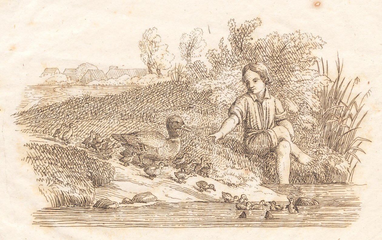 Illustration for 