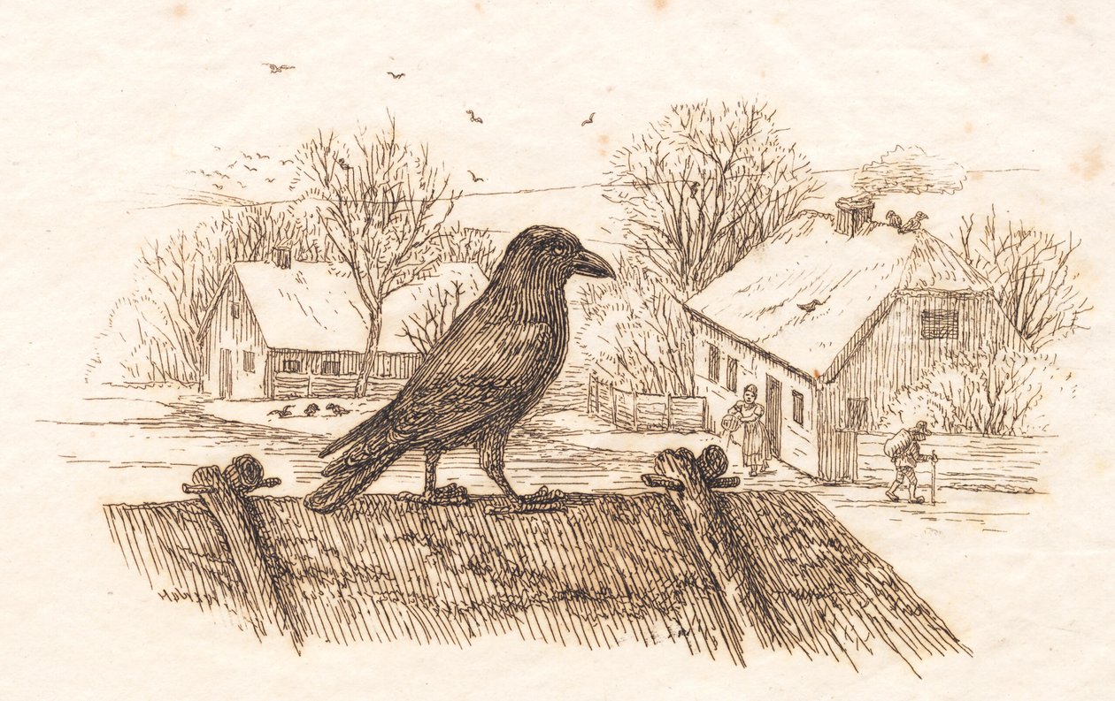 Illustration for 