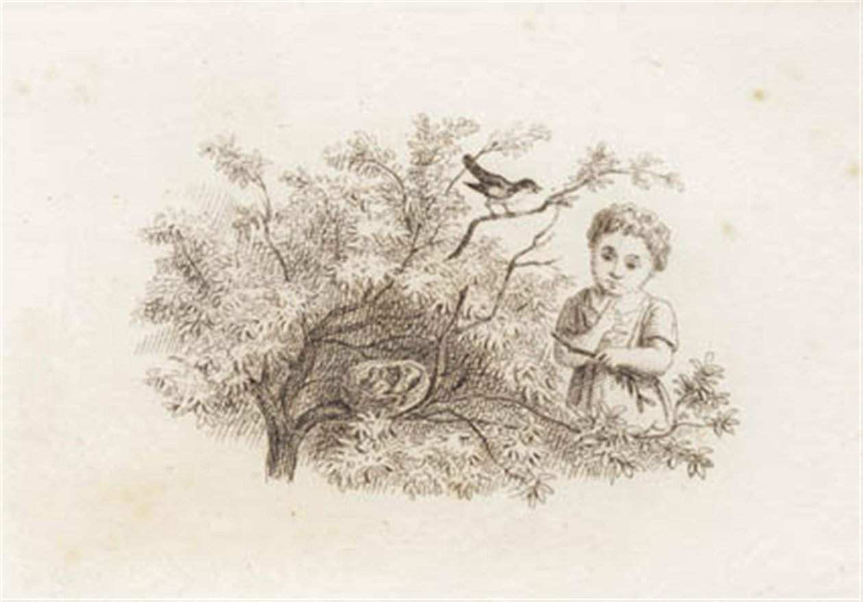 Illustration to 