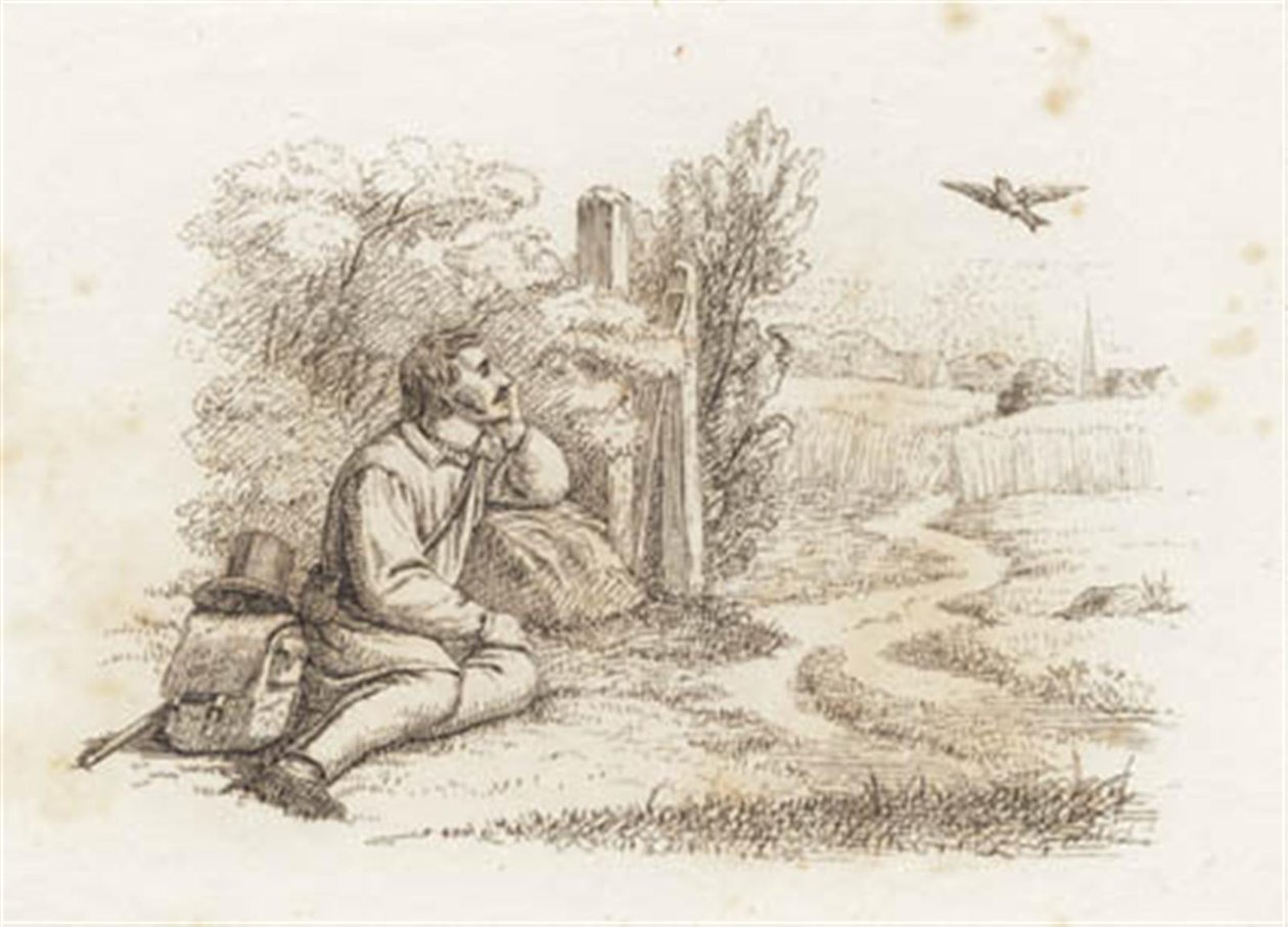 Illustration for 