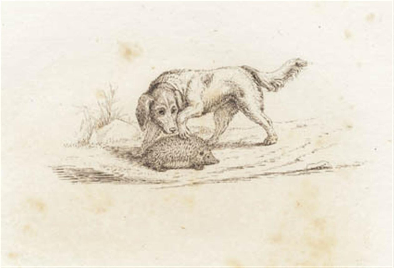 Illustration for 