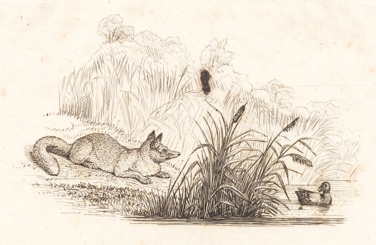 Illustration for 