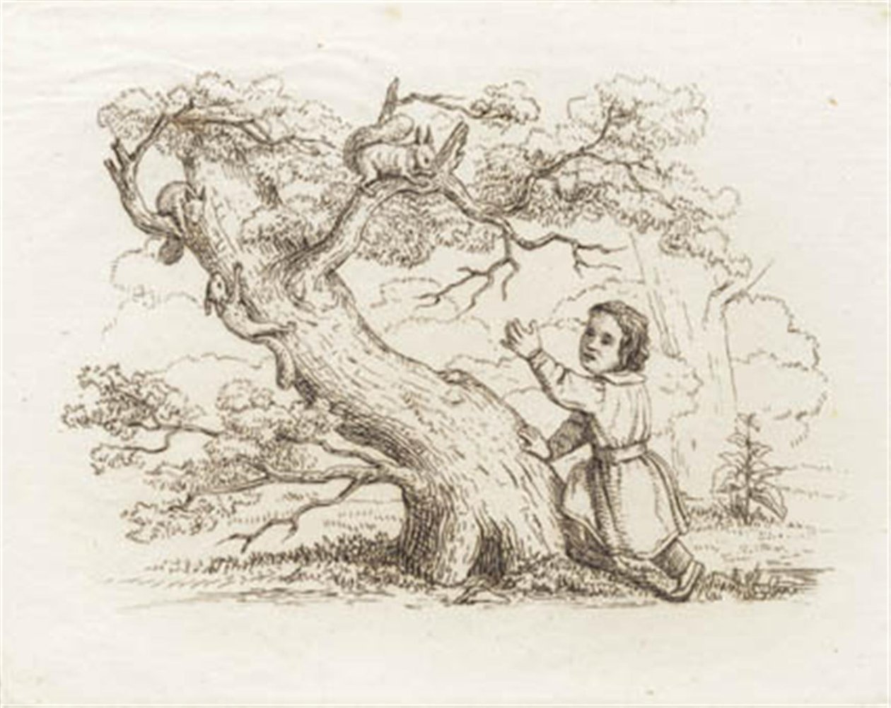 Illustration for 