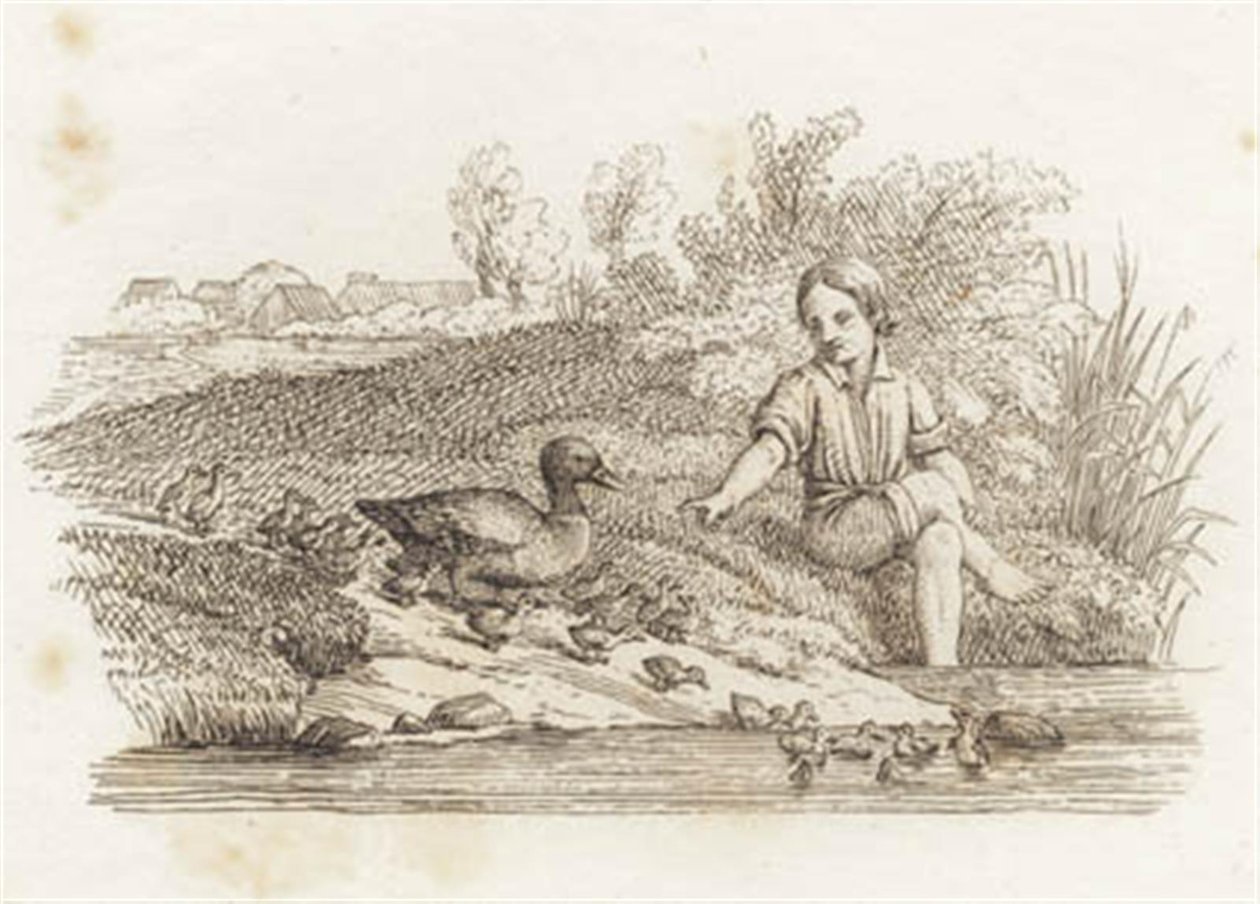 Illustration to 
