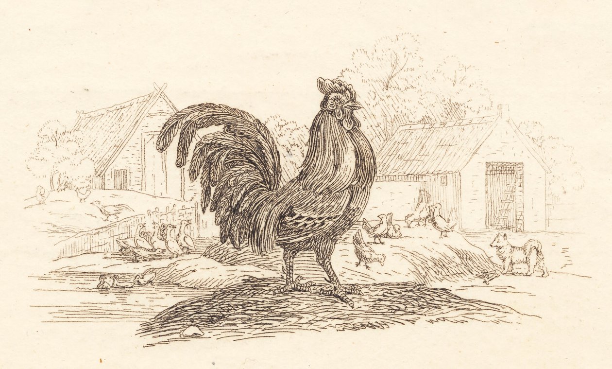 Illustration for 