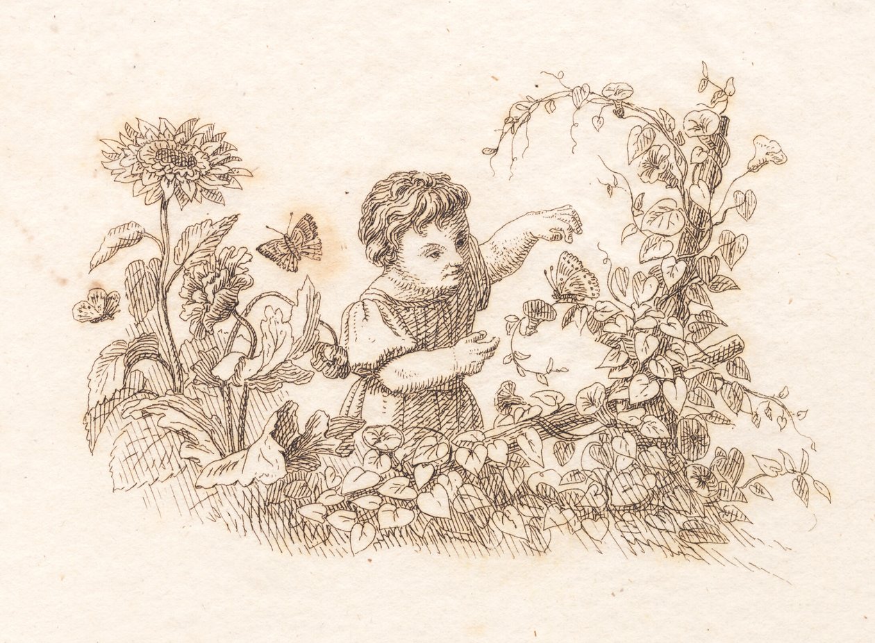 Illustration for 